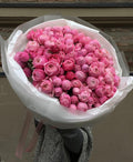 Pink Garden Roses