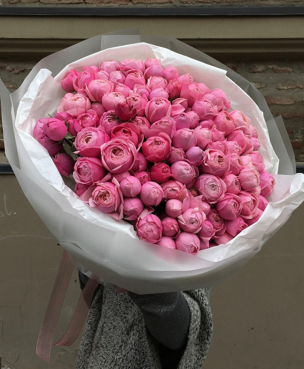 Pink Garden Roses