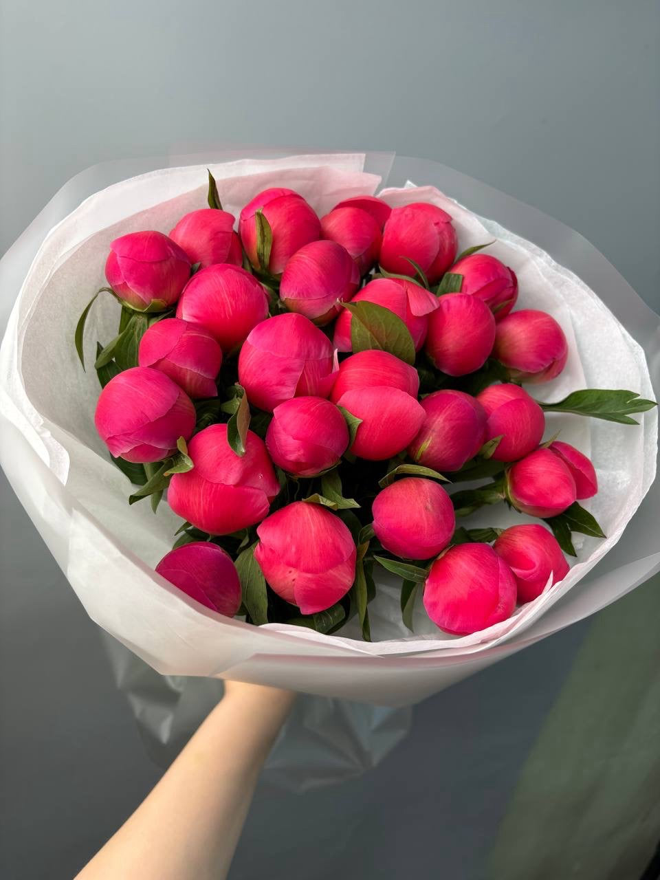 peonies