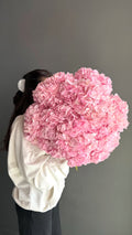 hydrangea