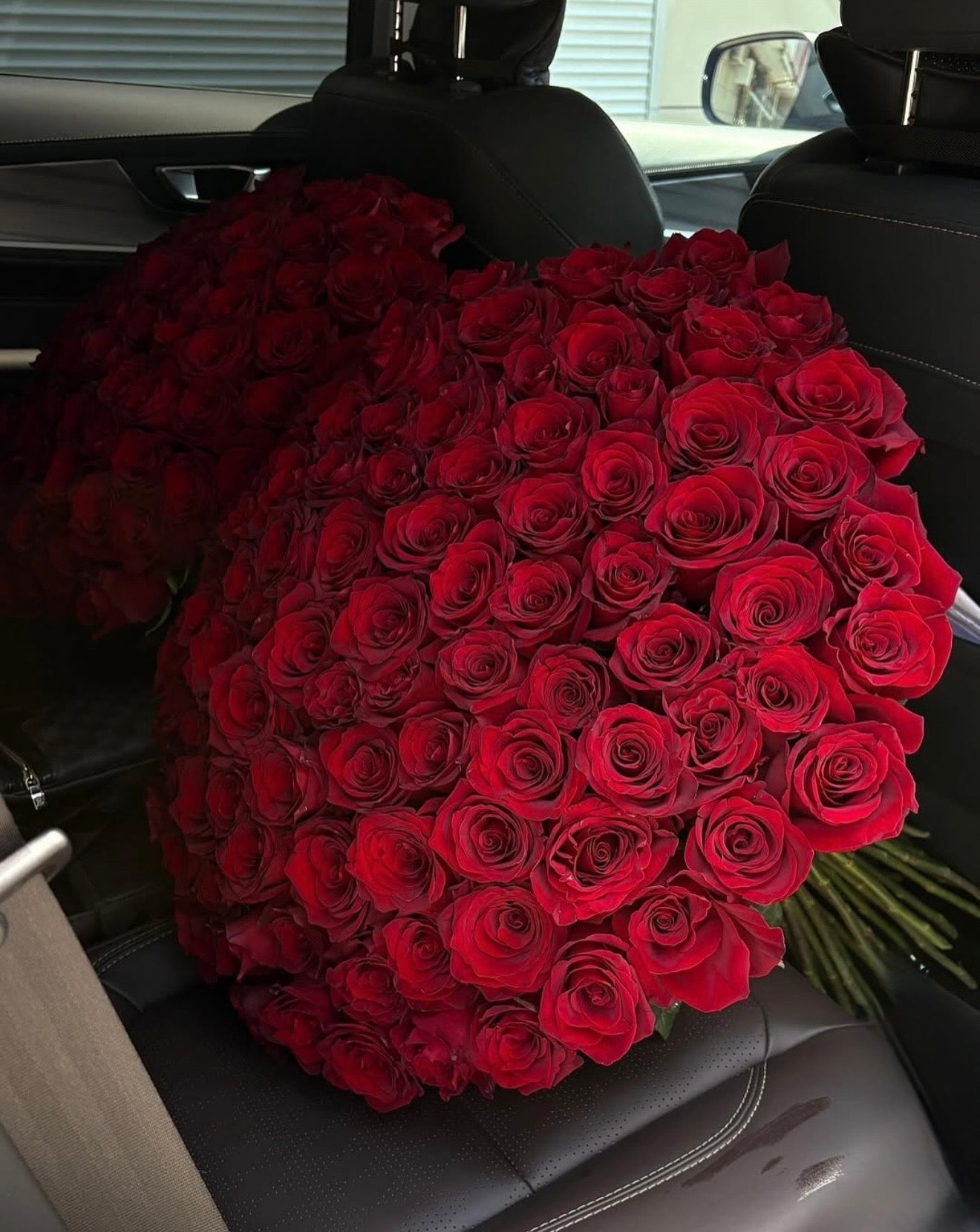 Red roses 100
