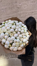 White Peonies – 100 Stems