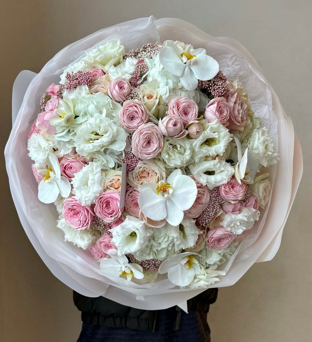Blush Beauty