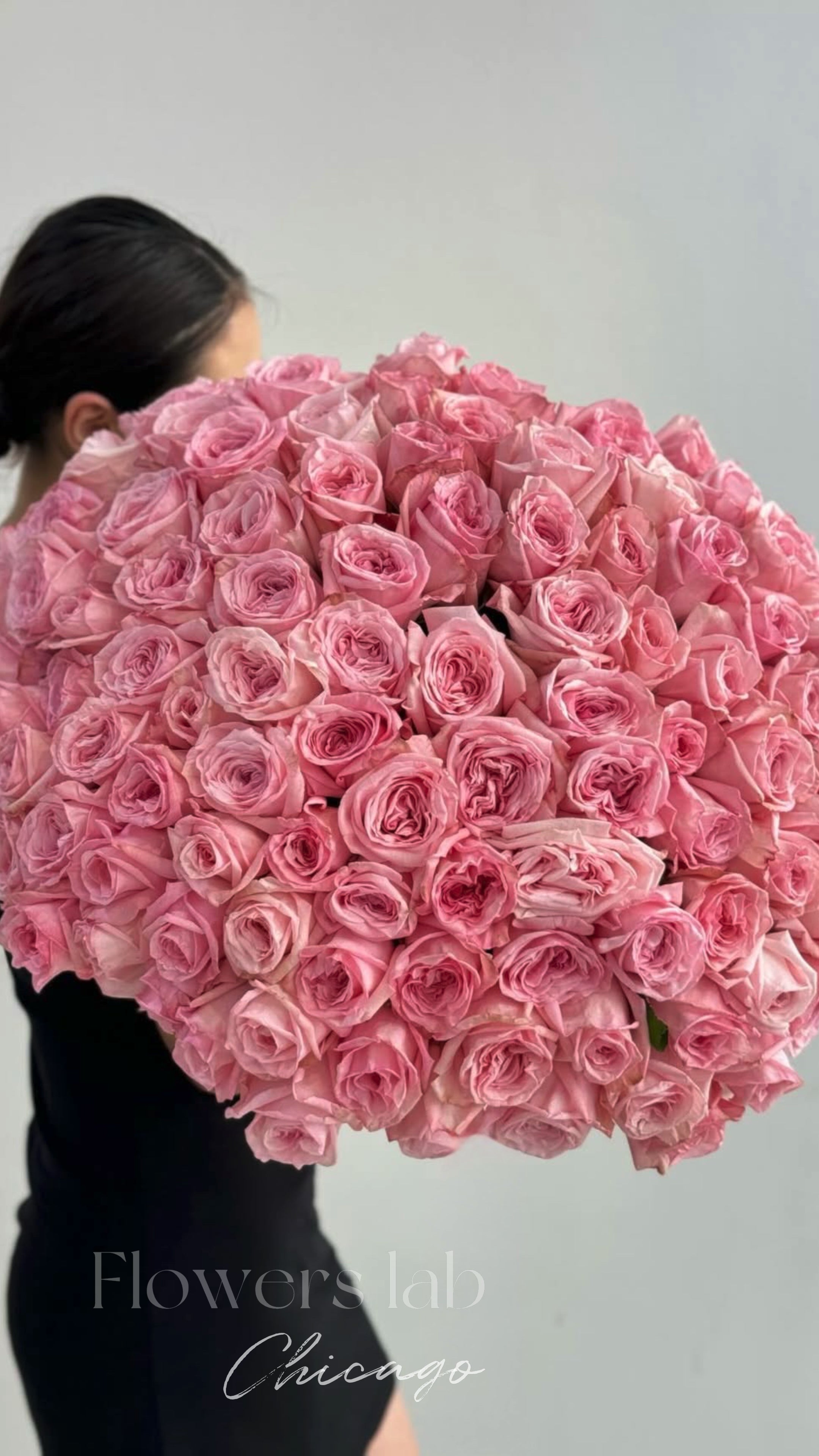 Ohara roses